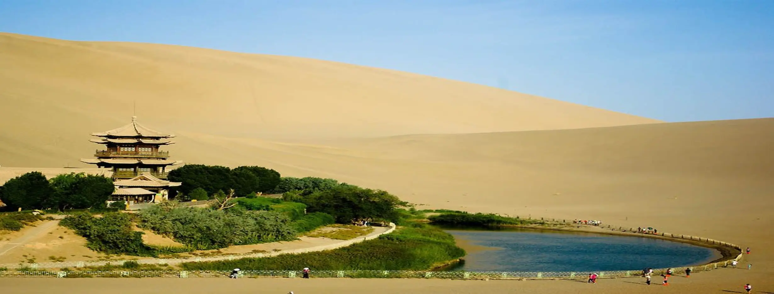 Image for Cultural Oasis